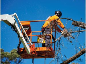 Snorkel MHP13/35 Heavy Duty Trailer Mounted Boom Lift, Robust, Built for Australian Market! — view 3